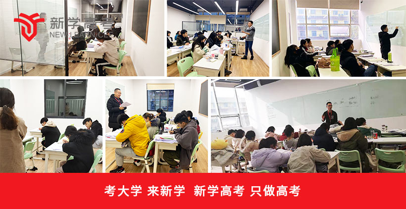 隆昌高考艺考生文化课培训机构推荐新学高考