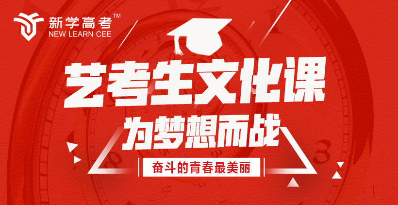 雅安高三美术生文化课辅导学校选新学高考