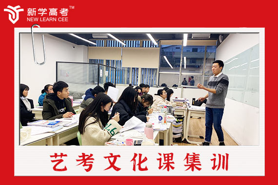 红河高三音乐生文化课补习学校